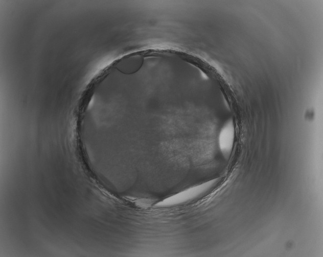 X0000116871263201001191715