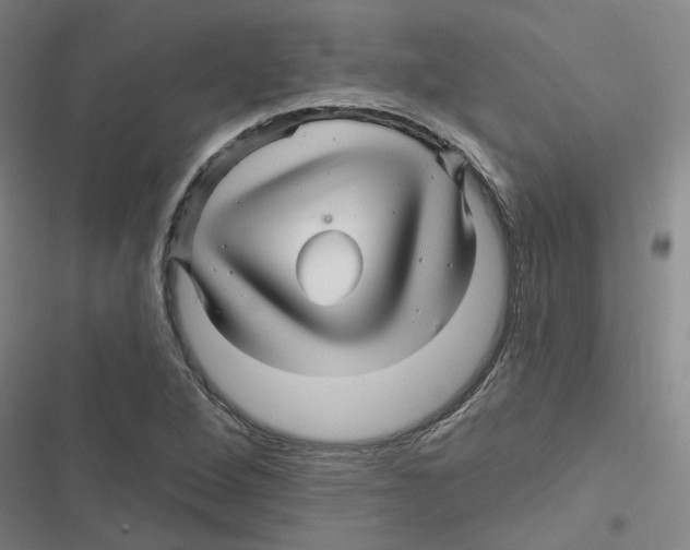 X0000116871264201001191715