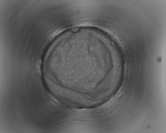 X0000116871265201001191715