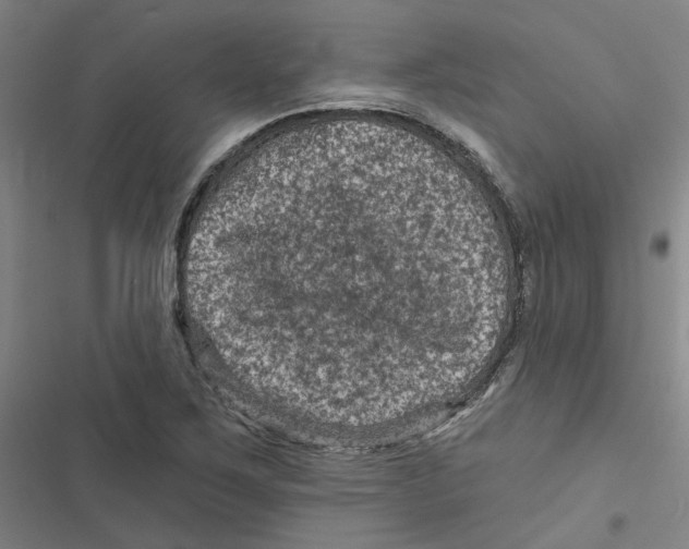 X0000116871267201001191715