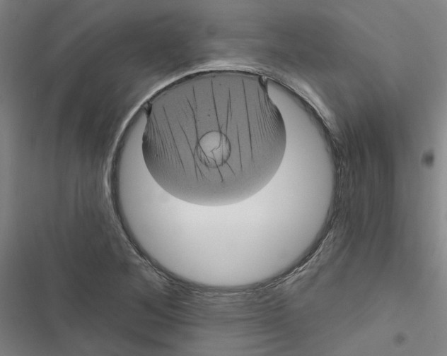 X0000116871268201001191715