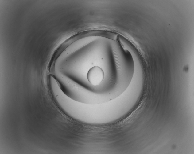 X0000116871269201001191715