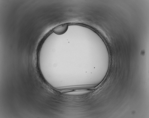 X0000116871270201001191715