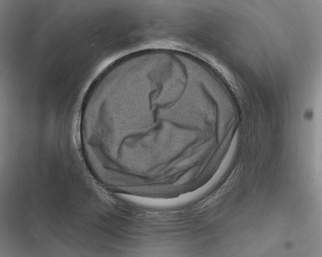 X0000116871272201001191715