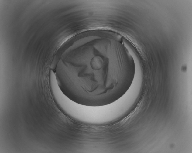 X0000116871273201001191715