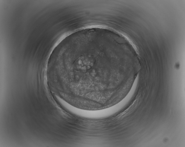 X0000116871274201001191715