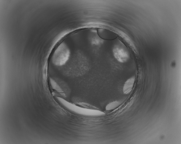 X0000116871275201001191715