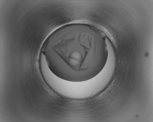 X0000116871276201001191715