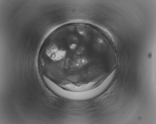 X0000116871279201001191715