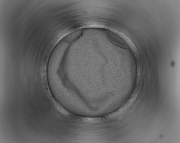 X0000116871281201001191715