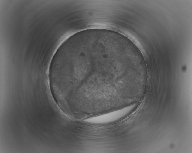X0000116871283201001191715