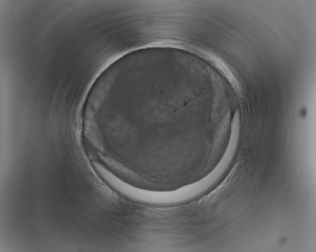 X0000116871284201001191715