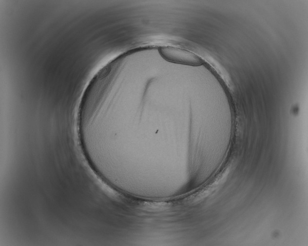 X0000116871285201001191715