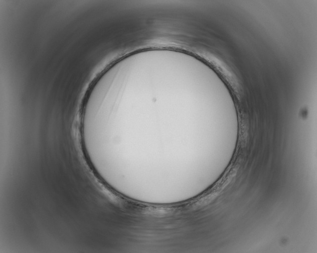 X0000116871286201001191715