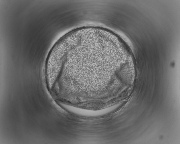 X0000116871287201001191715