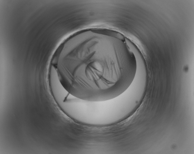 X0000116871288201001191715