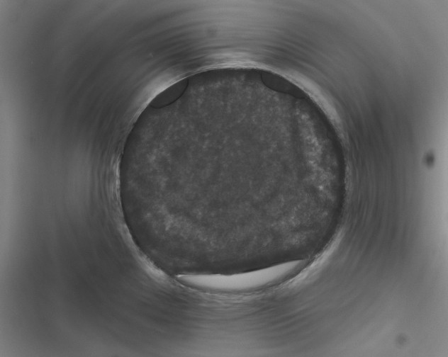 X0000116871289201001191715