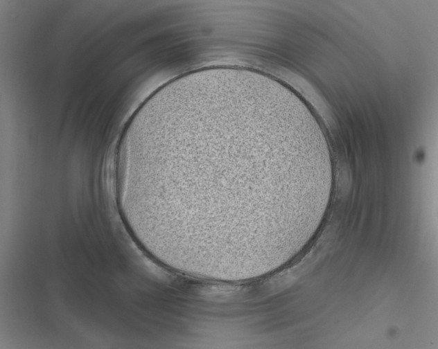 X0000116871290201001191715