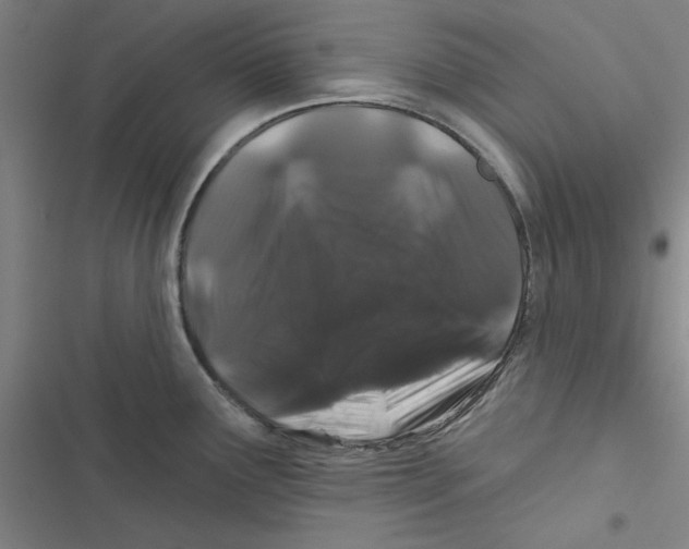 X0000116871291201001191715