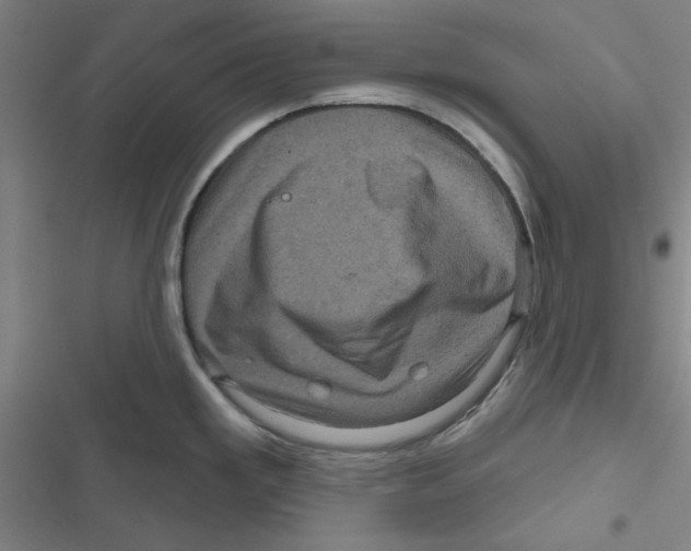 X0000116871293201001191715
