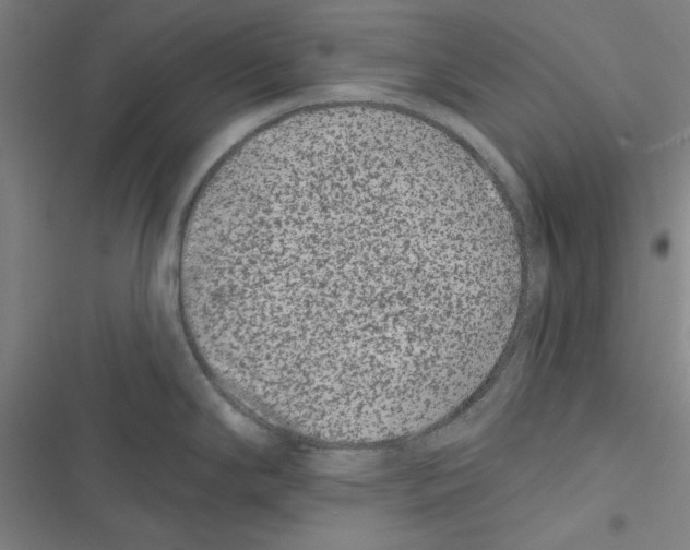 X0000116871294201001191715