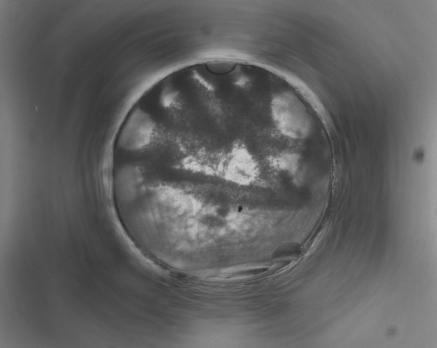 X0000116871295201001191715