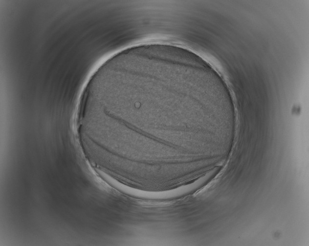 X0000116871296201001191715