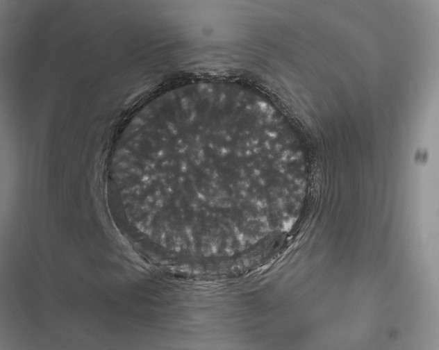 X0000116871297201001191714