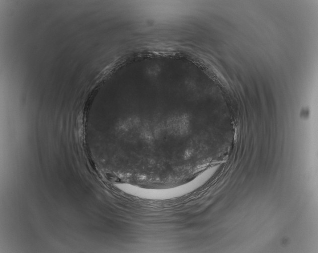 X0000116871298201001191714