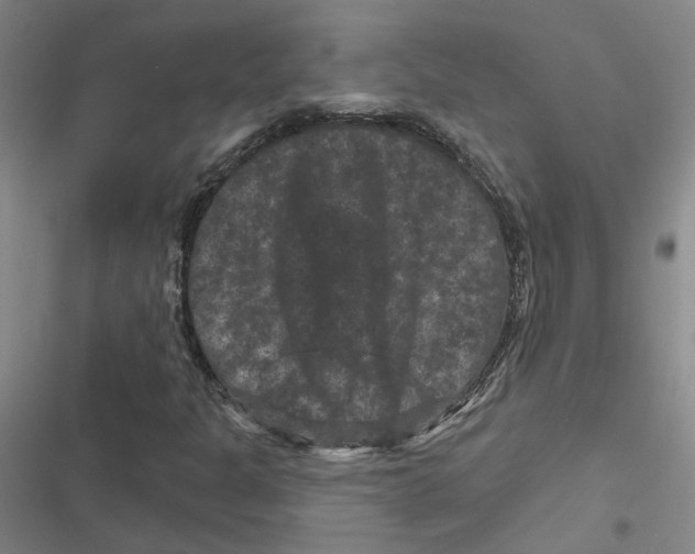 X0000116871301201001191714