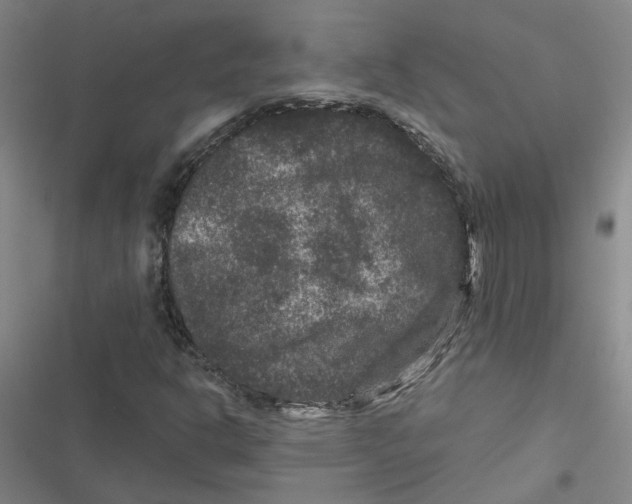 X0000116871302201001191714