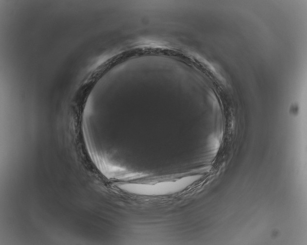 X0000116871303201001191714