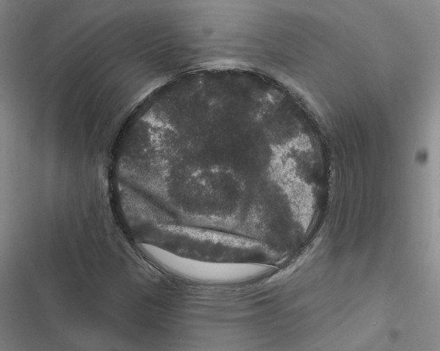 X0000116871305201001191714