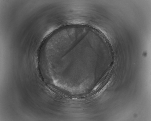 X0000116871306201001191714