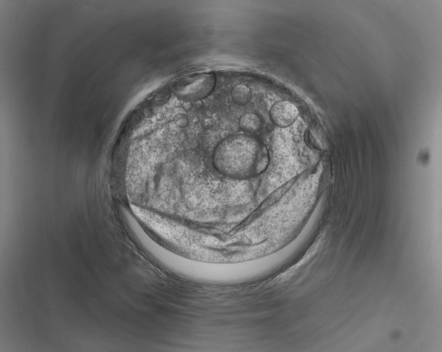 X0000116871309201001191714