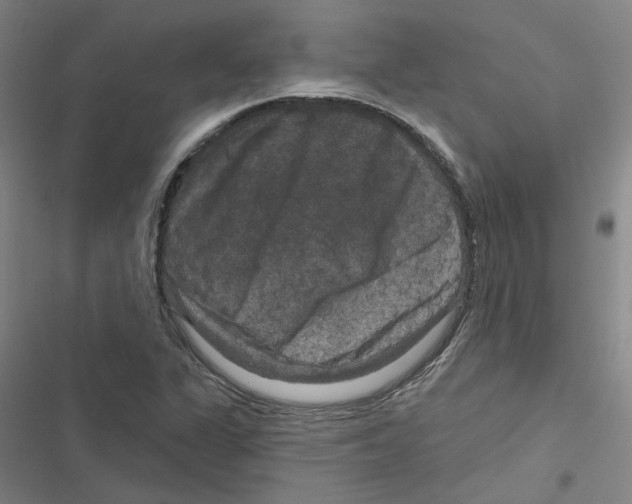 X0000116871311201001191714