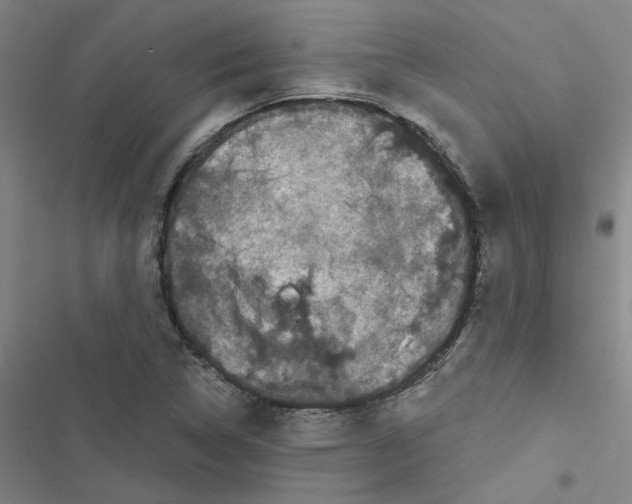 X0000116871314201001191714