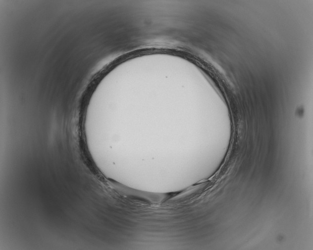 X0000116871315201001191714