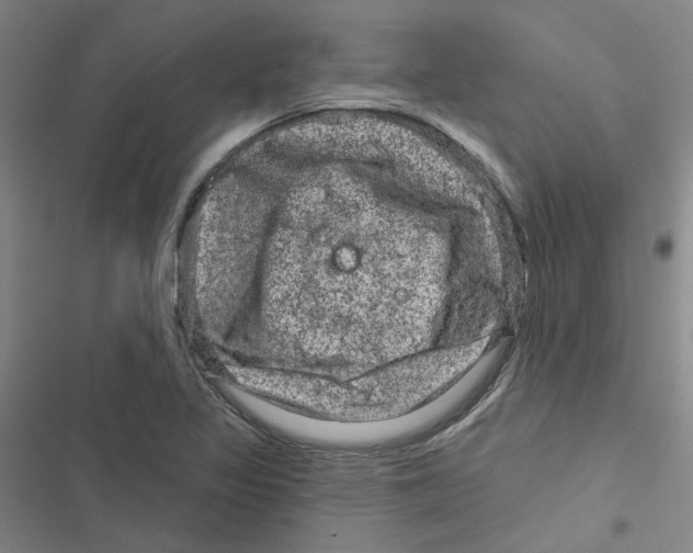 X0000116871317201001191714