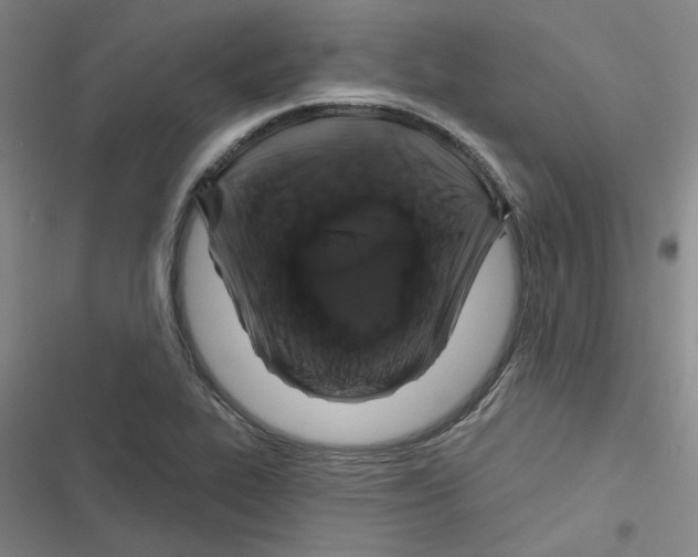 X0000116871319201001191714