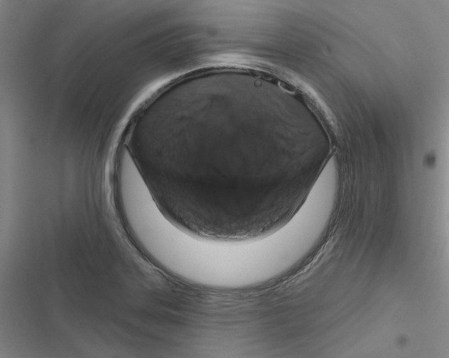 X0000116871323201001191714