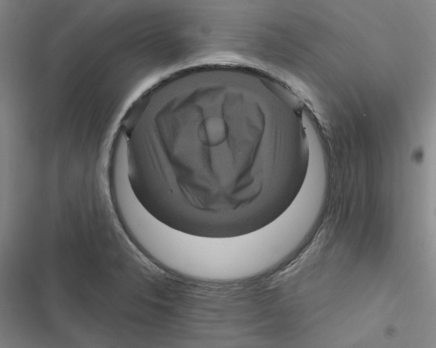 X0000116871326201001191714