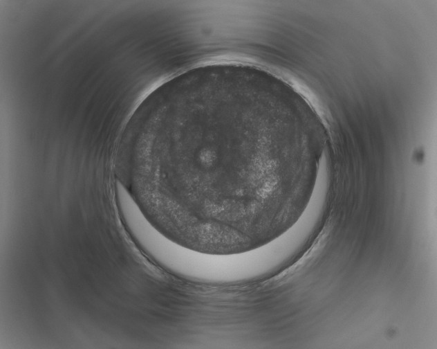 X0000116871329201001191714