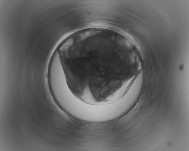X0000116871331201001191714
