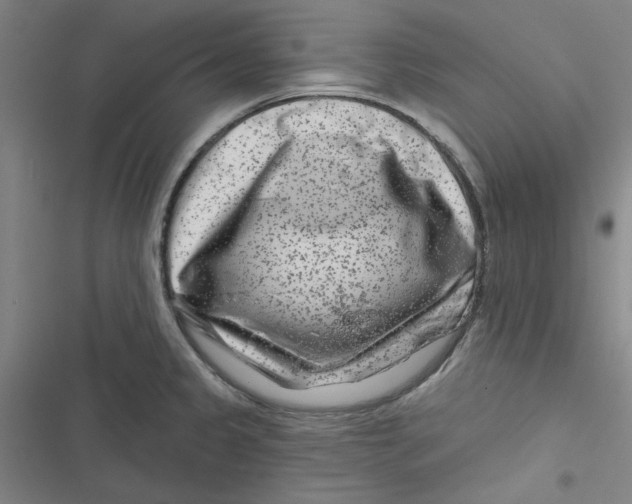 X0000116871333201001191714