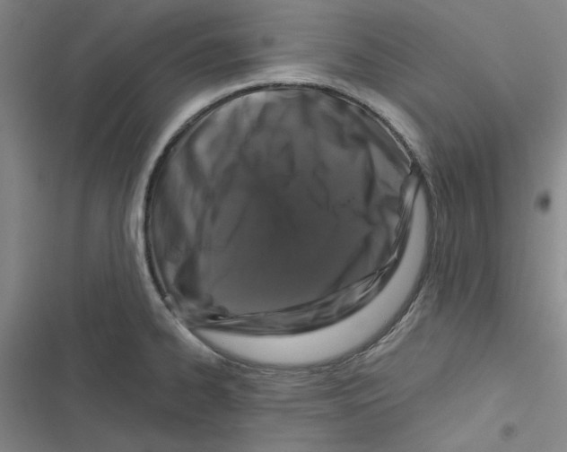 X0000116871334201001191714