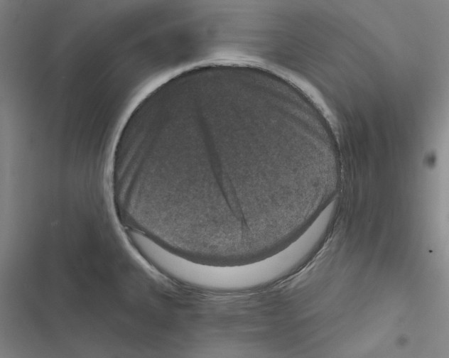 X0000116871335201001191714