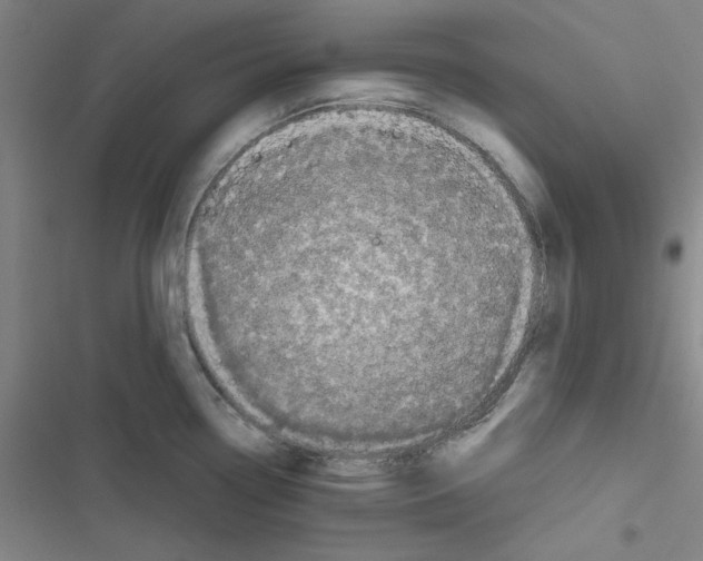 X0000116871338201001191715