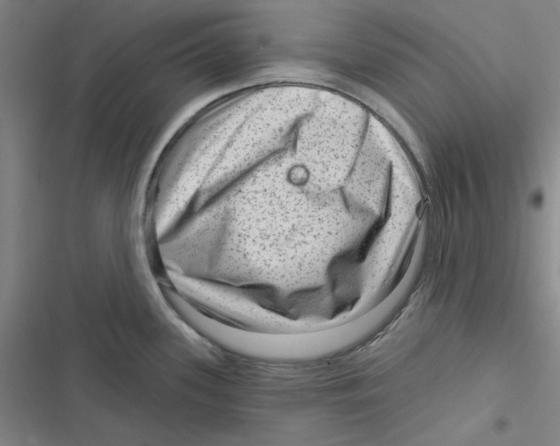 X0000116871339201001191715
