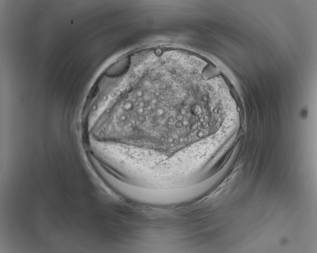 X0000116871341201001191715